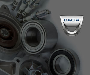 Dacia Spare Parts